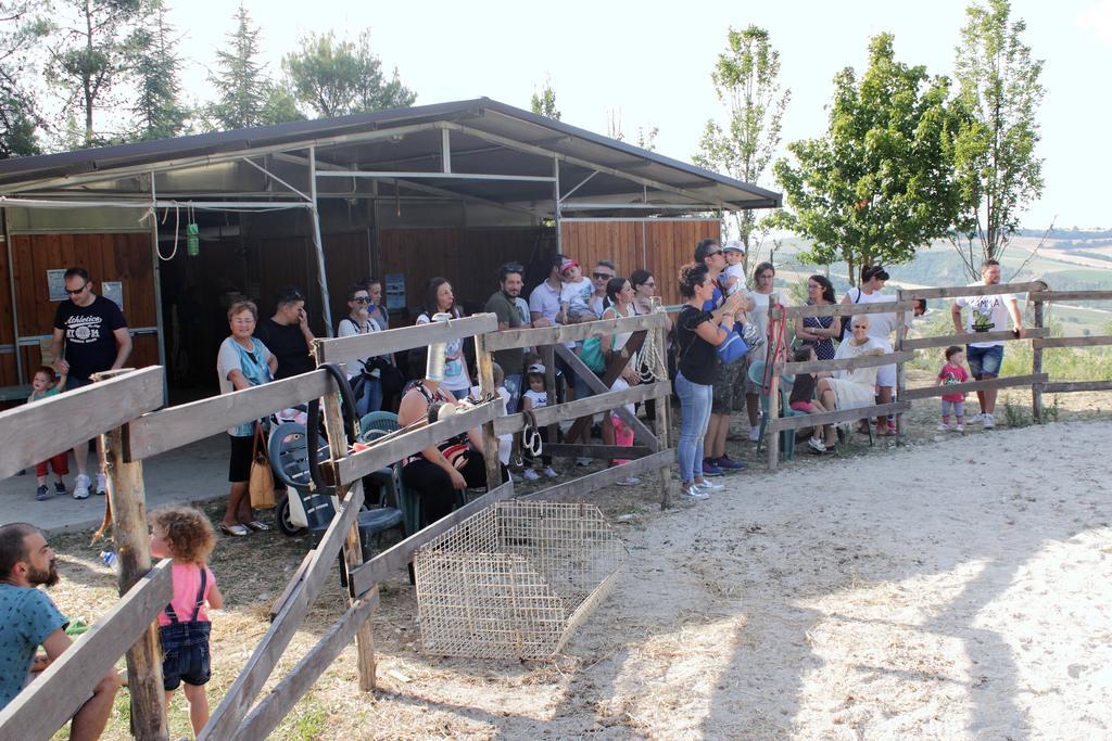 Tenuta Gran Bosco Loro Piceno Bagian luar foto