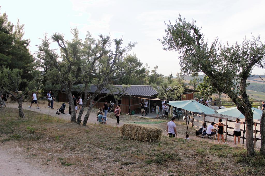 Tenuta Gran Bosco Loro Piceno Bagian luar foto