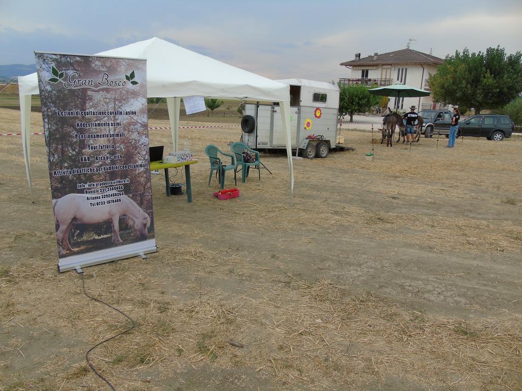 Tenuta Gran Bosco Loro Piceno Bagian luar foto