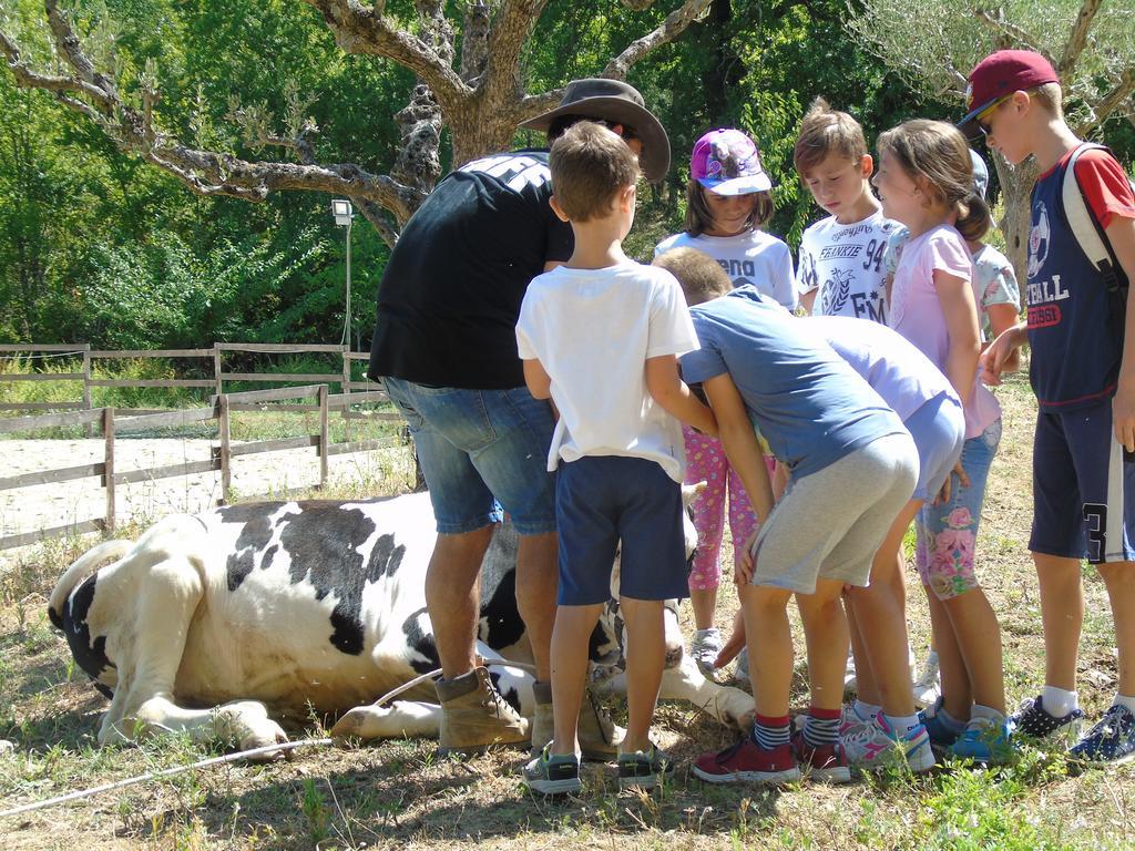 Tenuta Gran Bosco Loro Piceno Bagian luar foto