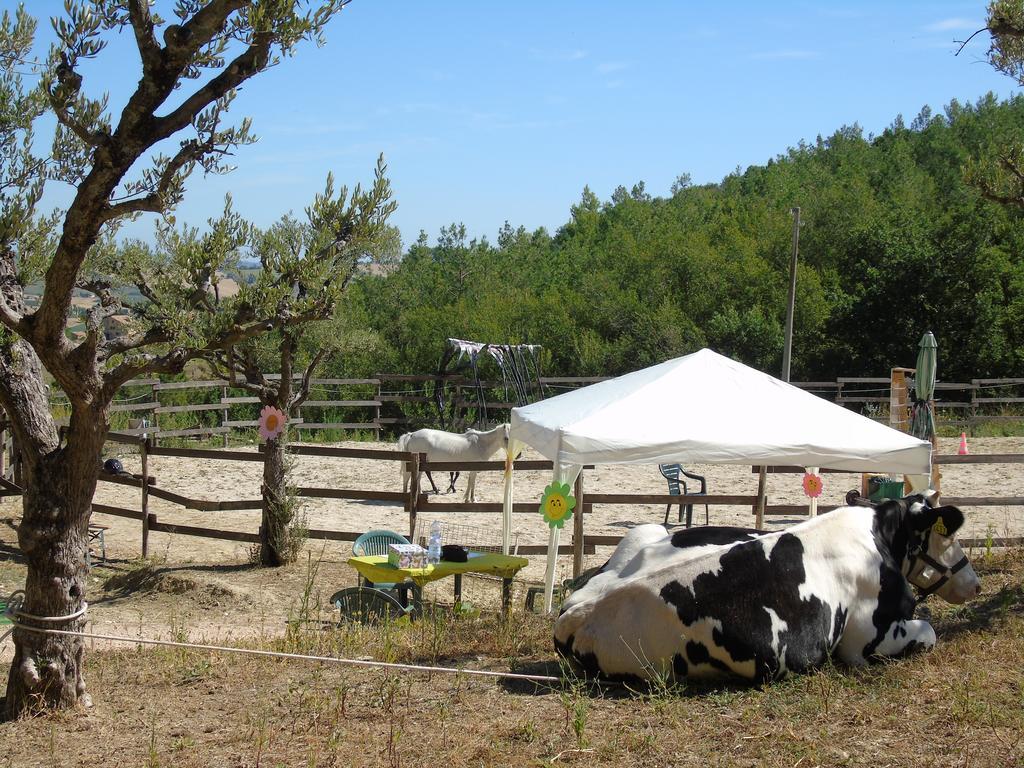 Tenuta Gran Bosco Loro Piceno Bagian luar foto