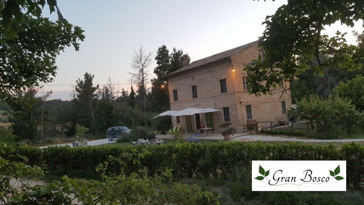 Tenuta Gran Bosco Loro Piceno Bagian luar foto
