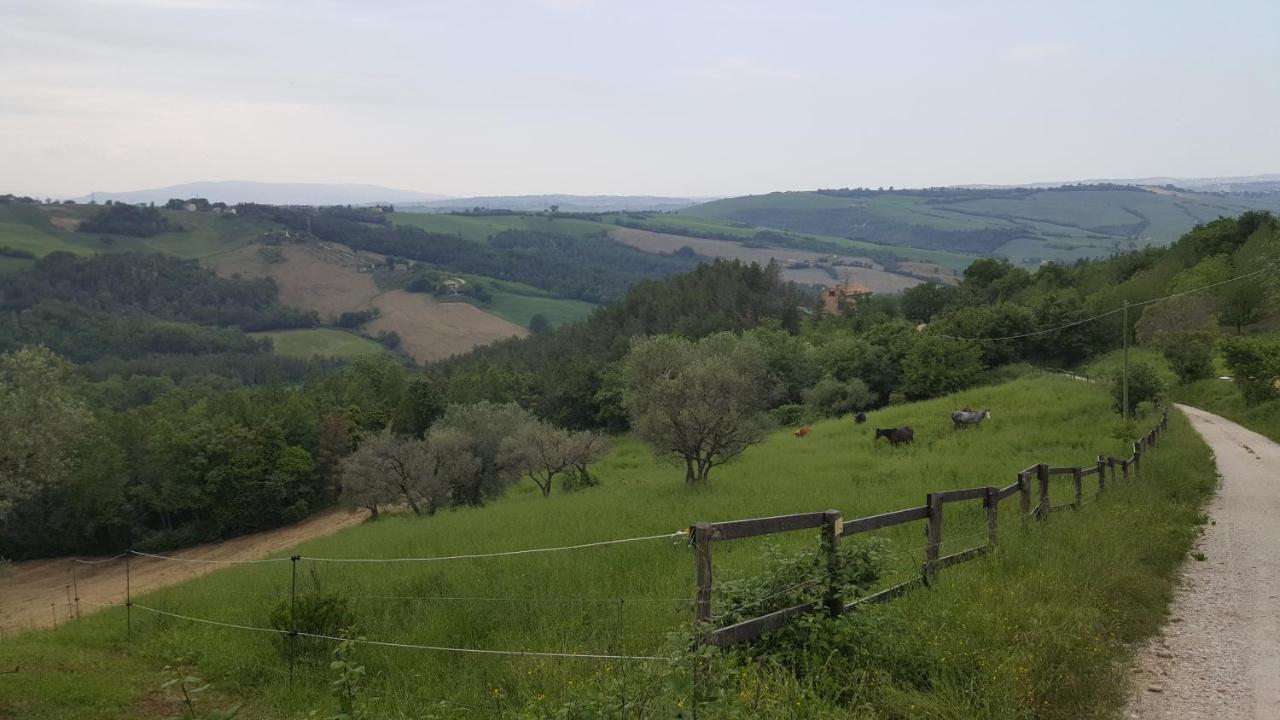 Tenuta Gran Bosco Loro Piceno Bagian luar foto