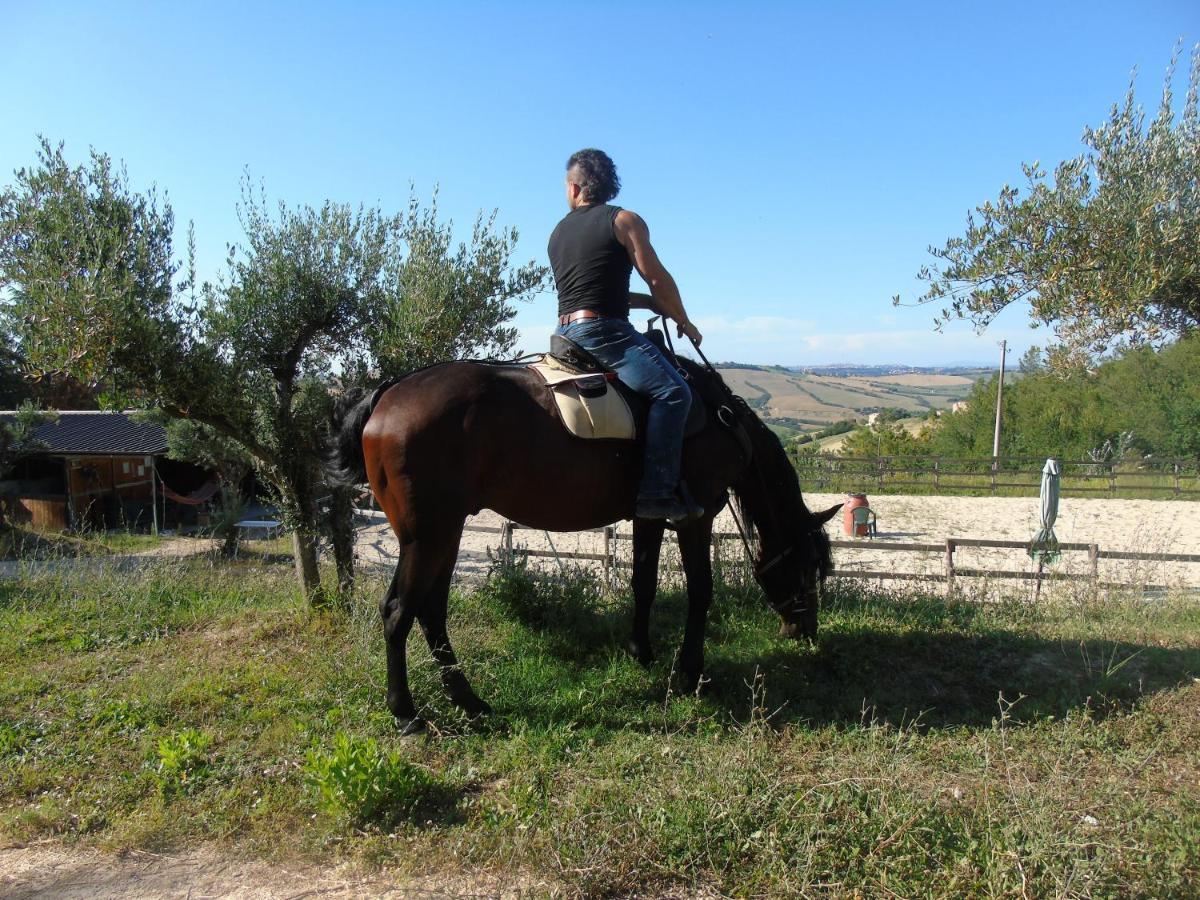 Tenuta Gran Bosco Loro Piceno Bagian luar foto